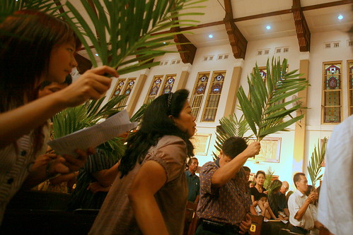 blessing of the palm