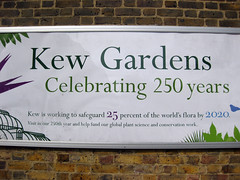 rótulo Kew Gardens
