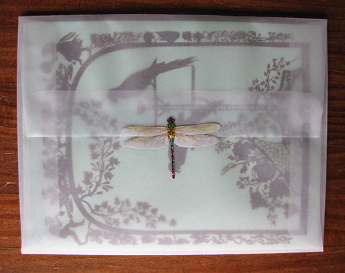 Jezebel card, dragonfly sticker