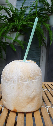 Coconut ready to drink.