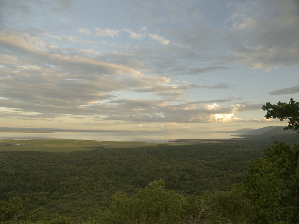 En busca de la gran migración - Blogs de Tanzania - Tercer dia de viaje. Lago Manyara (4)