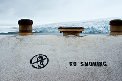 No Smoking Penguins