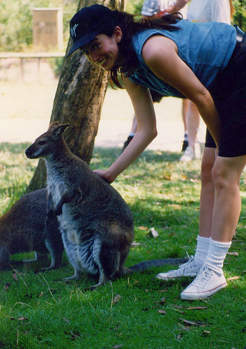 me and the wallaby