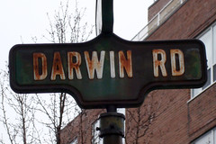 Darwin Road, Toronto