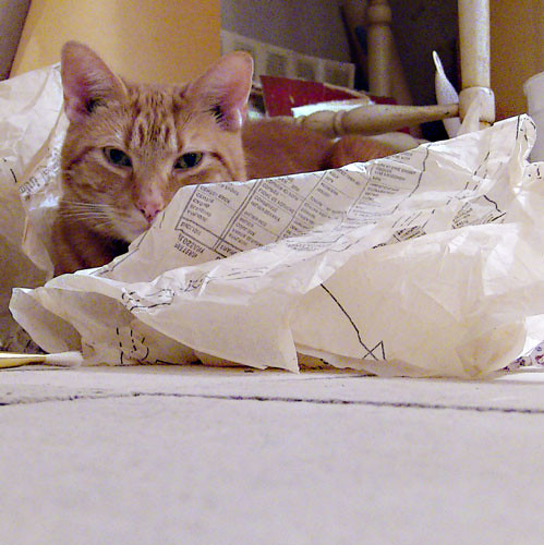 wrapped in paper 2