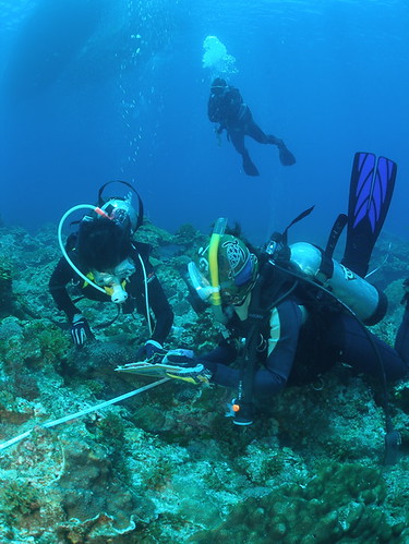 TEIA - 台灣環境資訊協會 拍攝的 科學指導員跟隨著參與珊瑚礁總體檢的志工們，隨時提供適當的協助。。