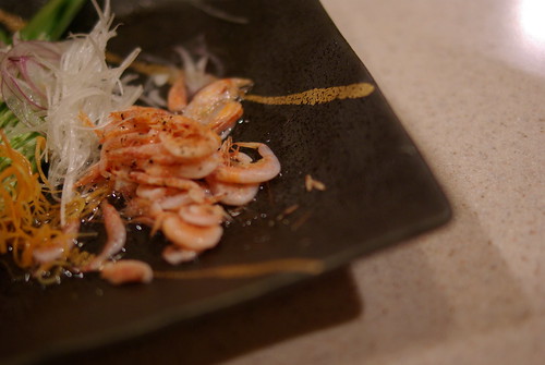 sakura shrimp (by HAMACHI!)