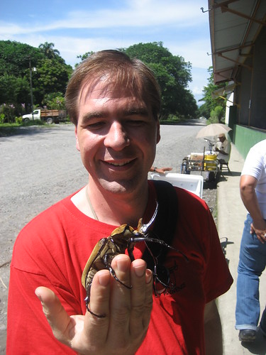 The Professor and his friend the Elephant beetle