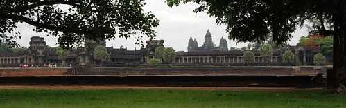AngkorWSTrees