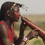 Maasai drinking cow blood - Kenya