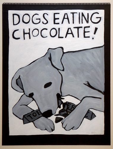 dogs eating chocolate!