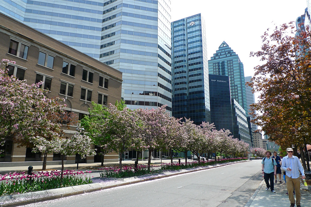 Copyright Photo: McGill College Avenue by Montreal Photo Daily, on Flickr