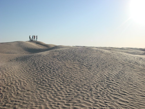 saharan dunes