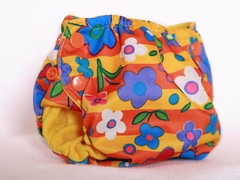 Small Flowered PUL Fly Baby Designs Pocket Diaper
