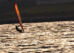Windsurfing on the river Yodo