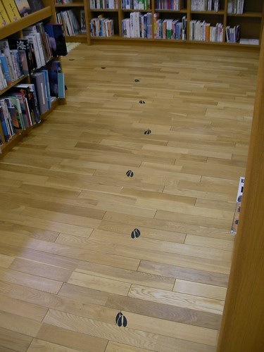 Deer's tracks in library