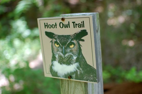 hoot owl trail