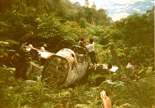 Warbird picture - P-61 A Black Widow, Western Papua - Warbird crash