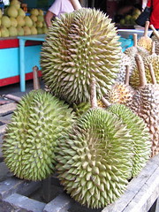 durian magsaysay park davao