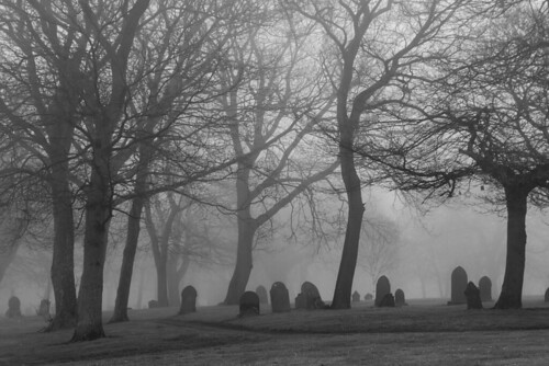 Foggy Cemetery