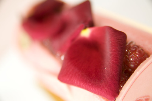 Bûche de Noël Framboise Petals Rose, Laduree, Ginza Mitsukoshi 