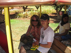 On the Pineapple Express, Dole Plantation