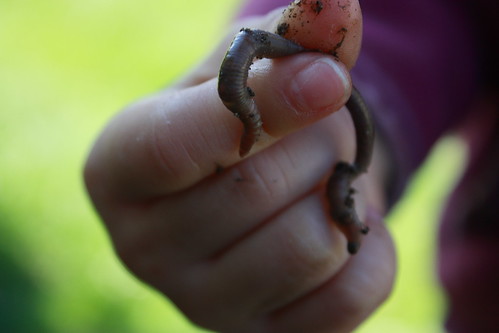 grimy little worm