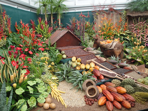 Trinidad and Tobago fruit displays
