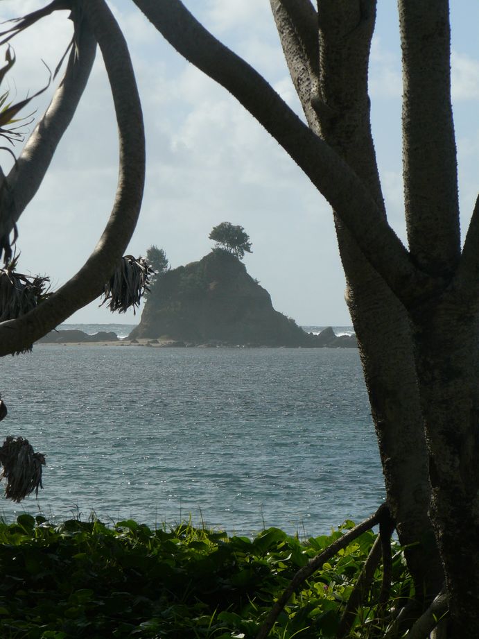 Vanuatu : Ile de Tanna #7 : Baie des tortues , chapeau du Capitaine Cook