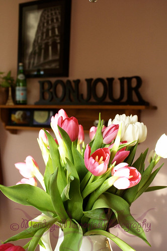 Pink & White Tulips 3
