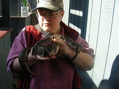 A recent depiction of my typical gender expression (with Sydney, my neighors sisters ball python)