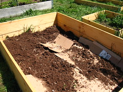 making a new raised bed