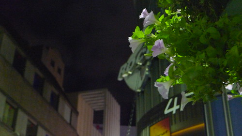 Flowers at the street of Shinjuku