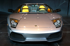 Lamborghini Murcielago (front view)