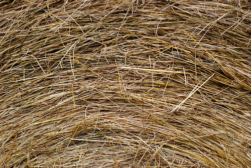 upper part of a bale of hay