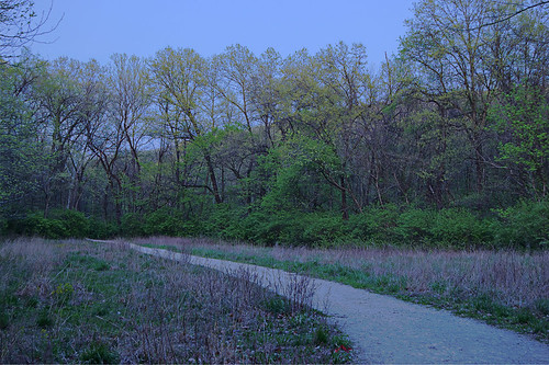 Forest 44 Conservation Area, near Valley Park, Missouri, USA - horse trail at dusk 2