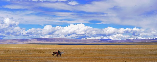 Nam tso plains Tibet,བོད།  བོད་ལྗོངས།