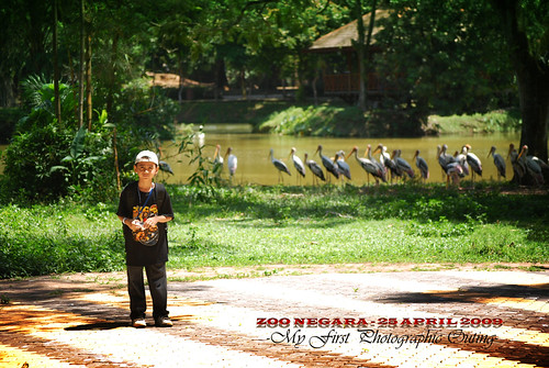 Zoo Negara edit