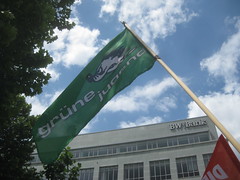 Grüne-Jugend-Fahne bei der Zensursula-Demo in Stuttgart