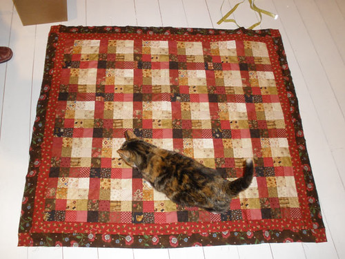 Aku (the cat) on a quilt made by Maaria