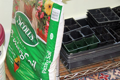 soil and old trays