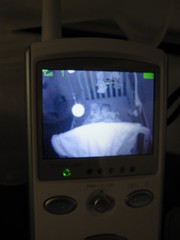 The video monitor