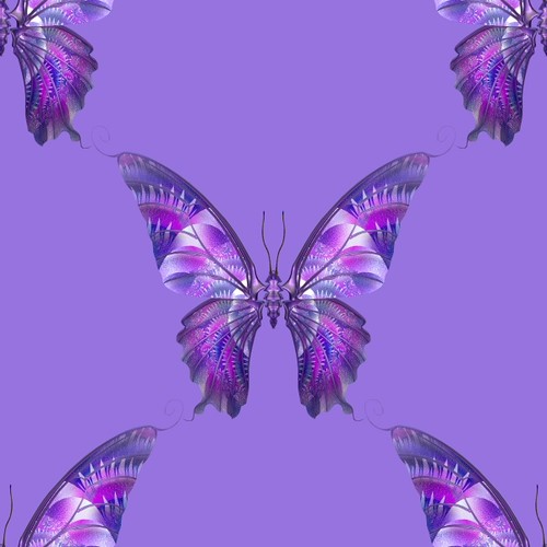 wallpaper purple butterfly. wallpaper purple butterfly.
