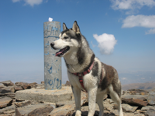 Me on the summit of Cerro de Caballo