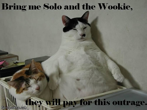 funny cats pictures. -wookie-lolcats-funny-cats