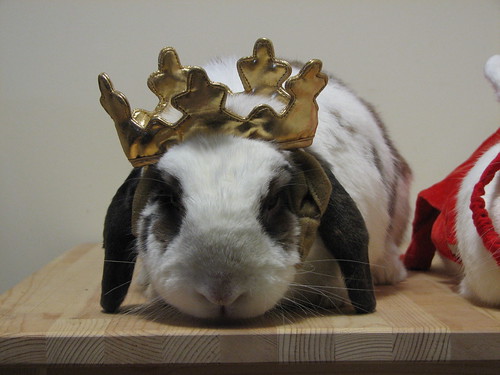 betsy looks good in a crown