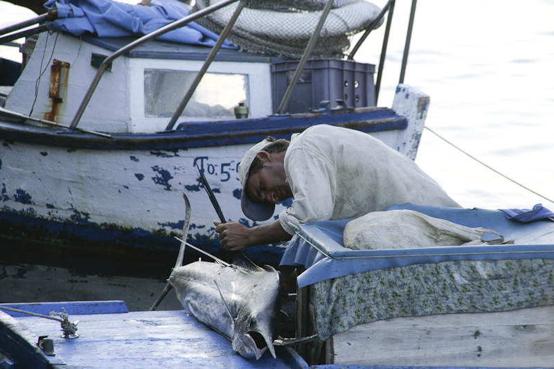 Limpiando un pez espada en el Malecón