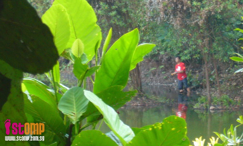 Stop fishing illegally at MacRitchie Reservoir! 