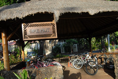 Bikes of Lahaina, Maui-6