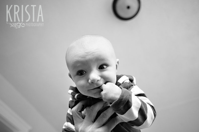4 Month Baby Portraits